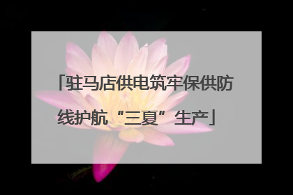驻马店供电筑牢保供防线护航“三夏”生产