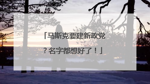 马斯克要建新政党？名字都想好了！