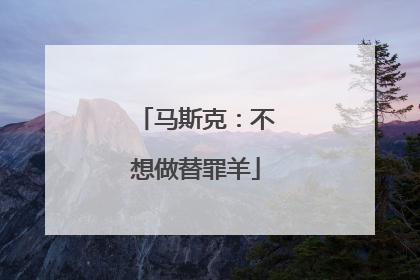 马斯克：不想做替罪羊