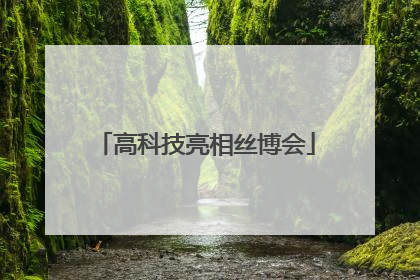 高科技亮相丝博会