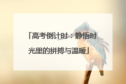 高考倒计时：静悟时光里的拼搏与温暖