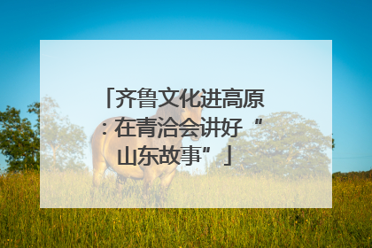 齐鲁文化进高原：在青洽会讲好“山东故事”