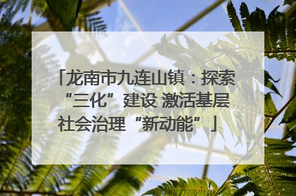 龙南市九连山镇：探索“三化”建设 激活基层社会治理“新动能”