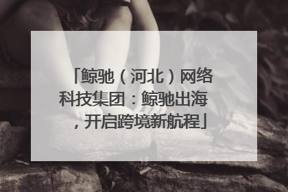 鲸驰（河北）网络科技集团：鲸驰出海，开启跨境新航程