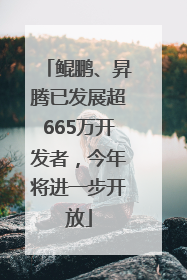 鲲鹏、昇腾已发展超665万开发者，今年将进一步开放