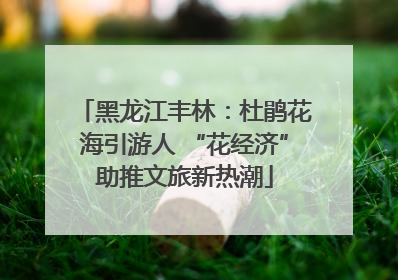 黑龙江丰林：杜鹃花海引游人 “花经济”助推文旅新热潮