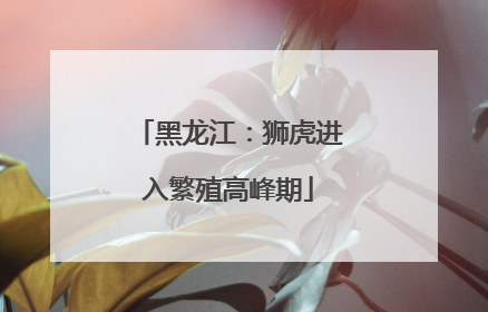 黑龙江：狮虎进入繁殖高峰期