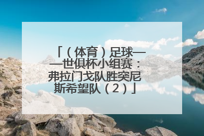 （体育）足球——世俱杯小组赛：弗拉门戈队胜突尼斯希望队（2）