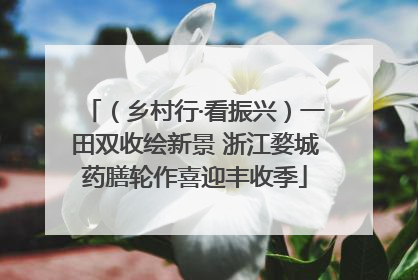 （乡村行·看振兴）一田双收绘新景 浙江婺城药膳轮作喜迎丰收季