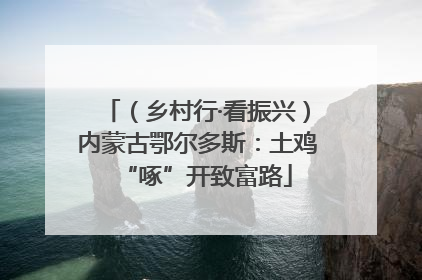 （乡村行·看振兴）内蒙古鄂尔多斯：土鸡“啄”开致富路