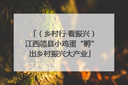 （乡村行·看振兴）江西赣县小鸡蛋“孵”出乡村振兴大产业