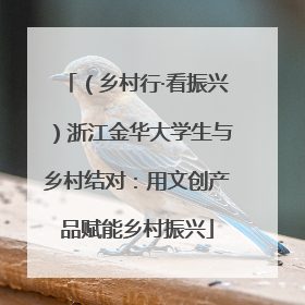 （乡村行·看振兴）浙江金华大学生与乡村结对：用文创产品赋能乡村振兴
