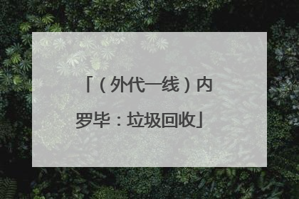 （外代一线）内罗毕：垃圾回收