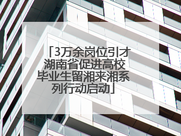 3万余岗位引才 湖南省促进高校毕业生留湘来湘系列行动启动