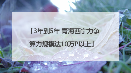 3年到5年 青海西宁力争算力规模达10万P以上