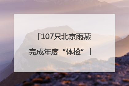 107只北京雨燕完成年度“体检”