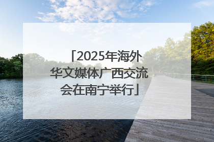 2025年海外华文媒体广西交流会在南宁举行