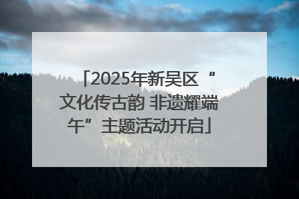 2025年新吴区“文化传古韵 非遗耀端午”主题活动开启