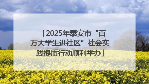 2025年泰安市“百万大学生进社区”社会实践提质行动顺利举办