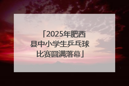 2025年肥西县中小学生乒乓球比赛圆满落幕