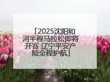 2025沈阳和河半程马拉松即将开赛 辽宁平安产险全程护航
