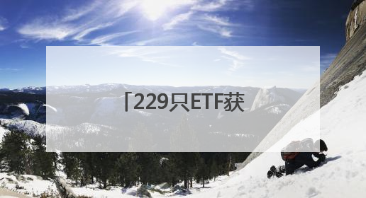 229只ETF获融资净买入 易方达中证香港证券投资主题ETF居首
