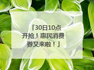 30日10点开抢!惠民消费券又来啦!
