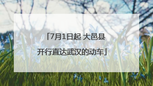 7月1日起 大邑县开行直达武汉的动车
