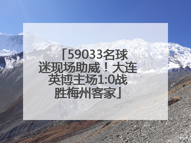 59033名球迷现场助威！大连英博主场1:0战胜梅州客家