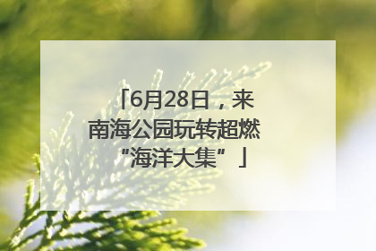 6月28日，来南海公园玩转超燃 “海洋大集”