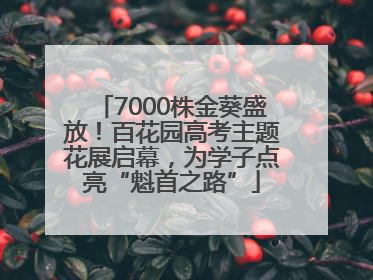 7000株金葵盛放！百花园高考主题花展启幕，为学子点亮“魁首之路”