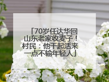 70岁任达华回山东老家收麦子！村民：他干起活来一点不输年轻人