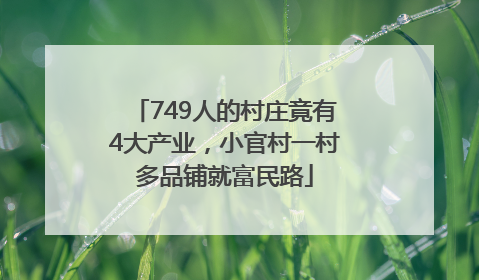 749人的村庄竟有4大产业，小官村一村多品铺就富民路