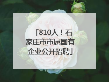 810人！石家庄市市属国有企业公开招聘