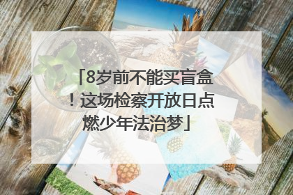8岁前不能买盲盒！这场检察开放日点燃少年法治梦