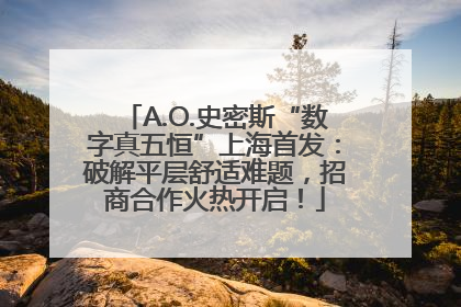 A.O.史密斯“数字真五恒”上海首发：破解平层舒适难题，招商合作火热开启！