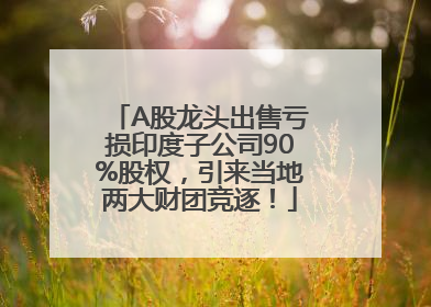 A股龙头出售亏损印度子公司90%股权，引来当地两大财团竞逐！